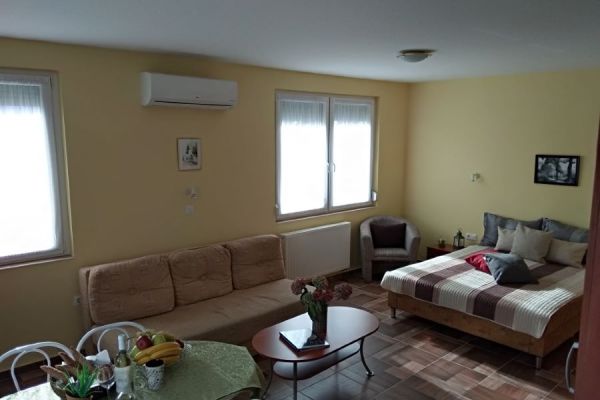 yellow-belso-12320F26FE6-33B0-8AF9-CA50-206FA93205D1.jpg